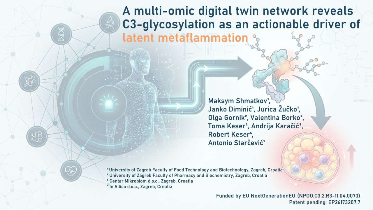 A multi-omic digital twin network reveals C3-glycosylation as an actionable driver of latent metaflammation