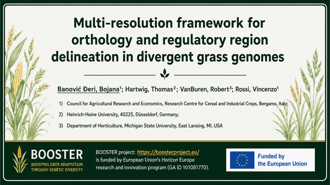 Multi-resolution framework for orthology and regulatory region delineation in divergent grass genomes