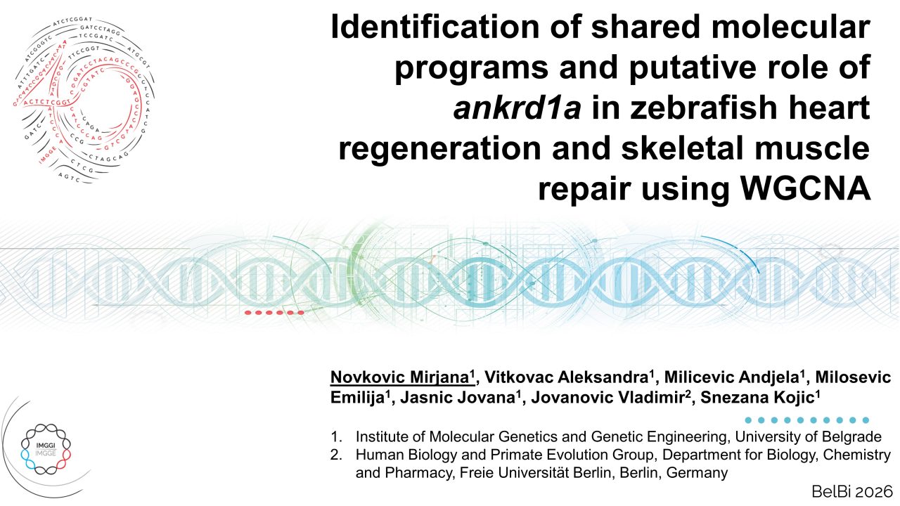 Identification of shared molecular programs and putative role of ankrd1a in zebrafish heart regeneration and skeletal muscle repair using WGCNA