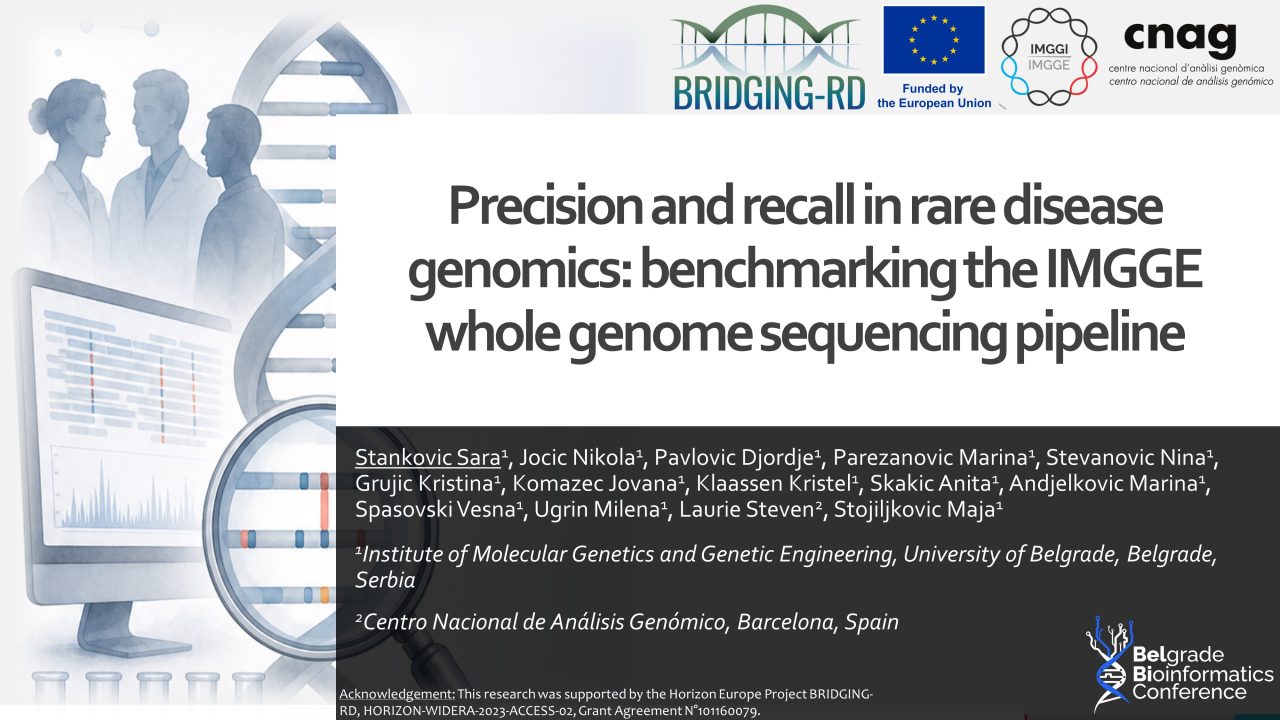 Precision and recall in rare disease genomics: benchmarking the IMGGE whole genome sequencing pipeline
